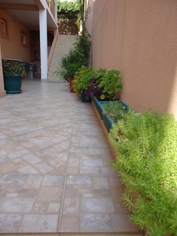 Apartments Villa Micunovic Херцег Нови Стая снимка
