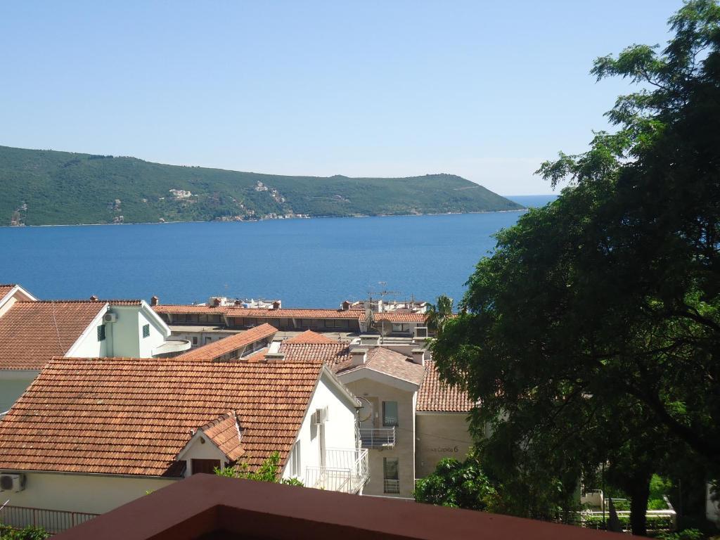 Apartments Villa Micunovic Херцег Нови Стая снимка
